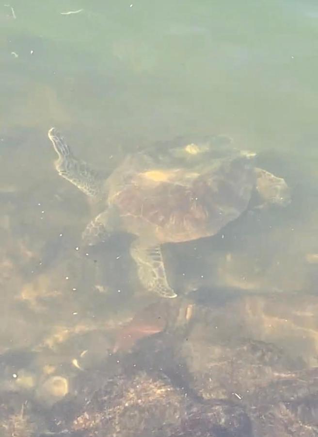 Gruta Da Sereia Suites Ubatuba Zewnętrze zdjęcie